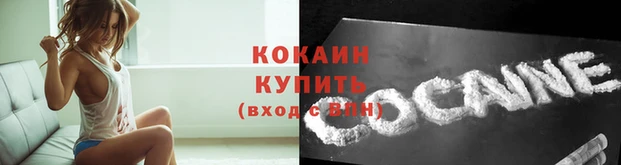 дживик Кукмор