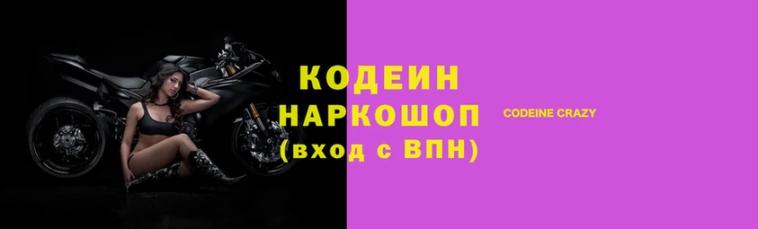 крисы Кулебаки