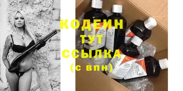 крисы Кулебаки