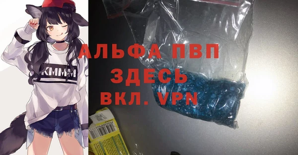 крисы Кулебаки