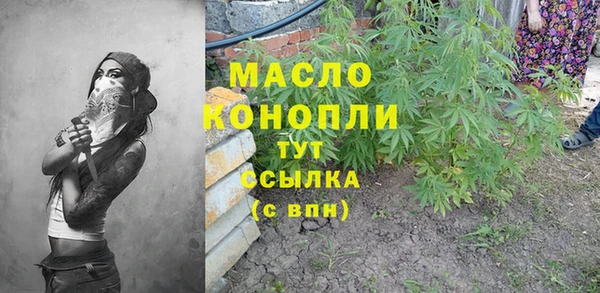 крисы Кулебаки