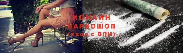 крисы Кулебаки