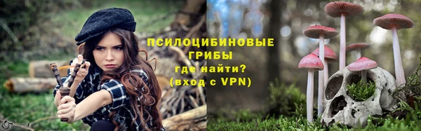 дживик Кукмор