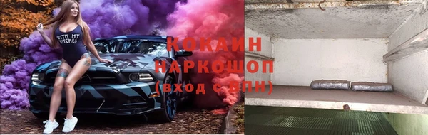 крисы Кулебаки